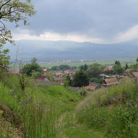 Birdsong Cottage - Peaceful Country Retreat Pauleni-Ciuc Luaran gambar