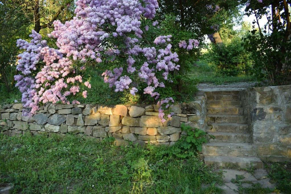 Birdsong Cottage - Peaceful Country Retreat Pauleni-Ciuc Luaran gambar