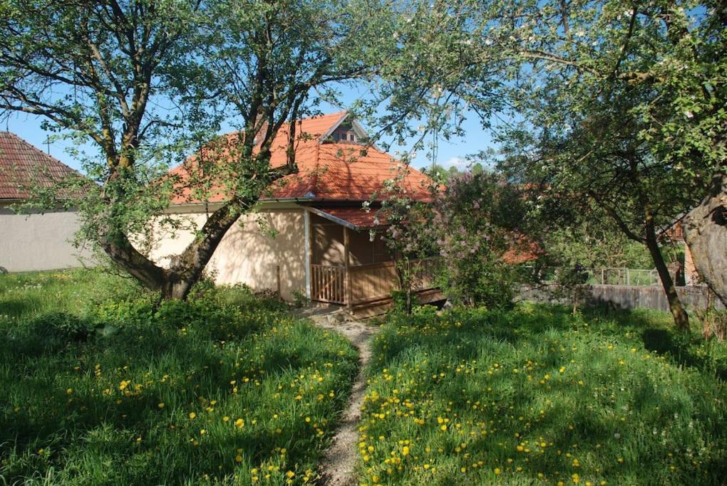 Birdsong Cottage - Peaceful Country Retreat Pauleni-Ciuc Luaran gambar