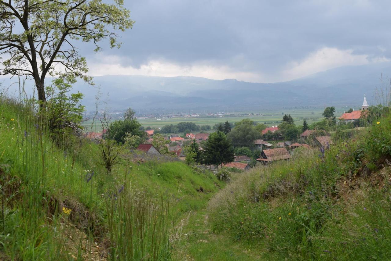 Birdsong Cottage - Peaceful Country Retreat Pauleni-Ciuc Luaran gambar